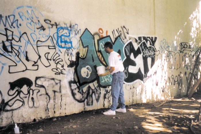 Detail Cleaning Graffiti Off Concrete Nomer 43