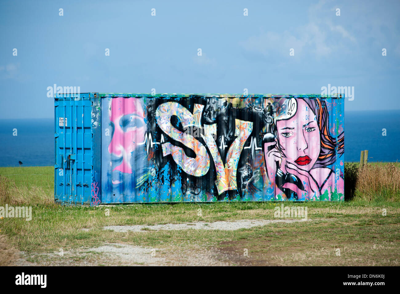 Detail Container Graffiti Nomer 15
