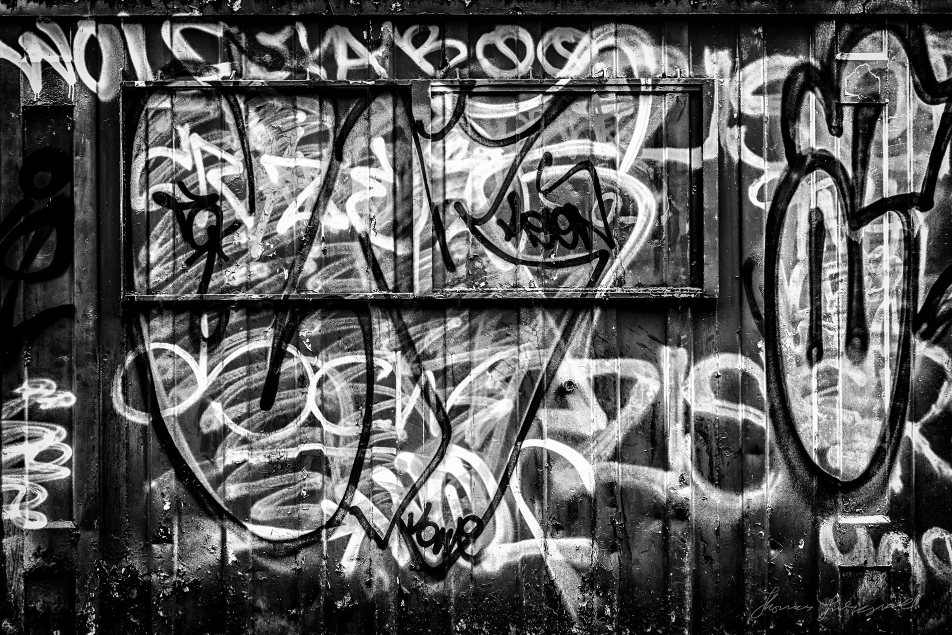 Detail Container Graffiti Nomer 41