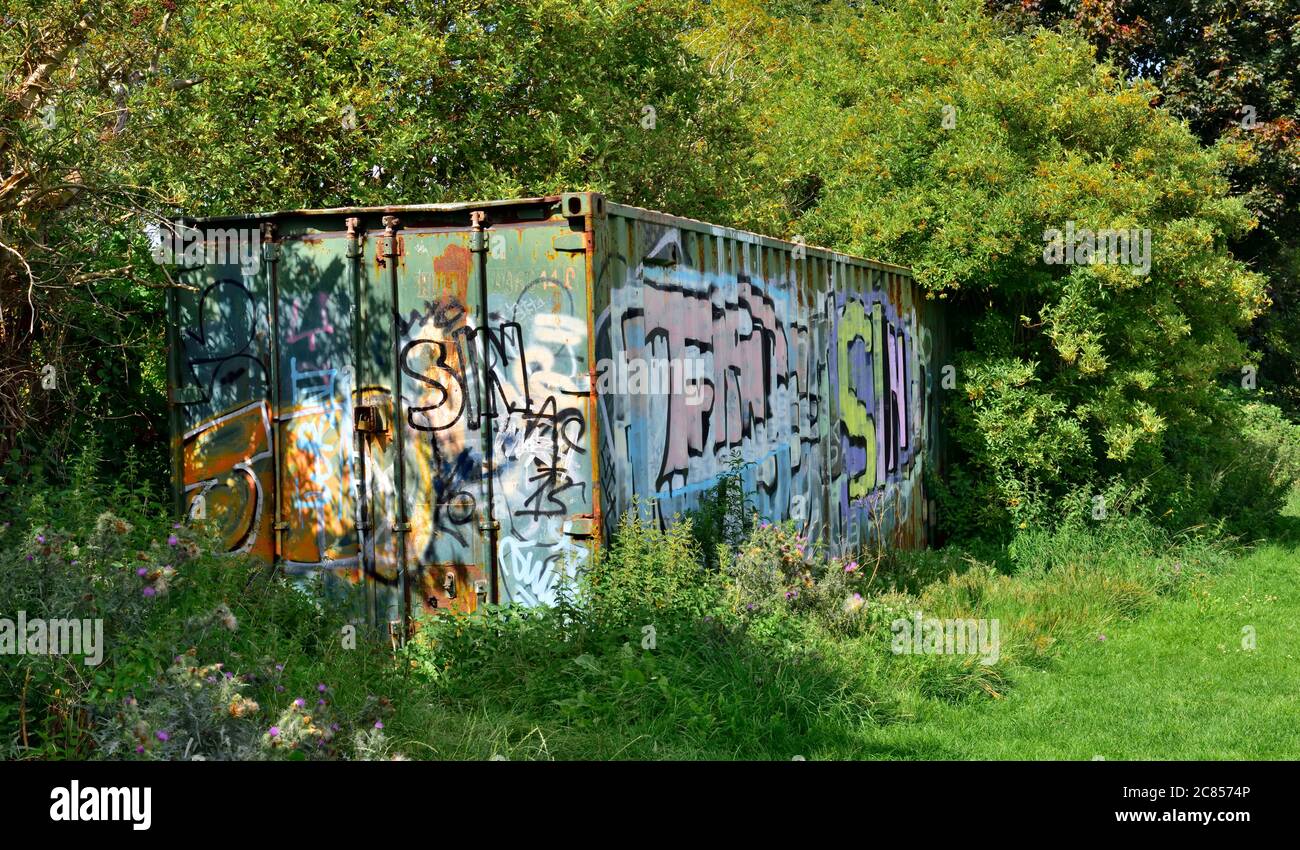 Detail Container Graffiti Nomer 46