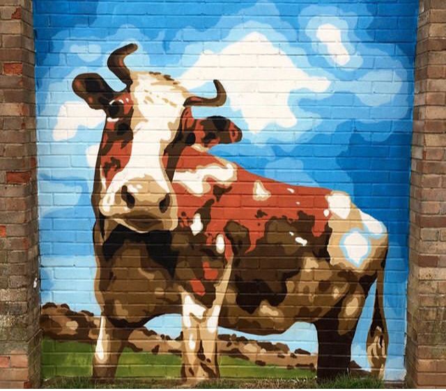 Cow Graffiti - KibrisPDR