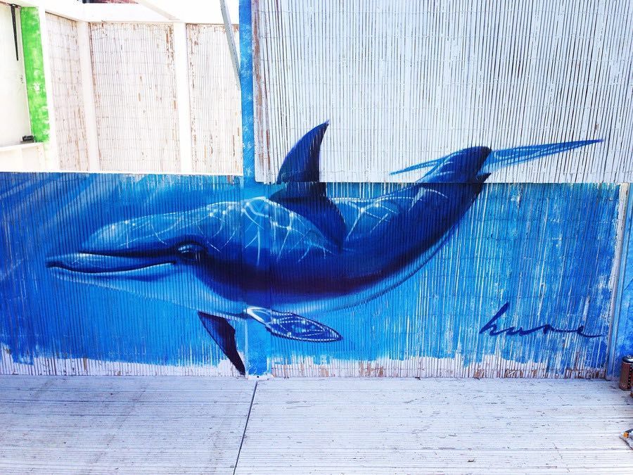 Detail Dolphin Graffiti Nomer 12