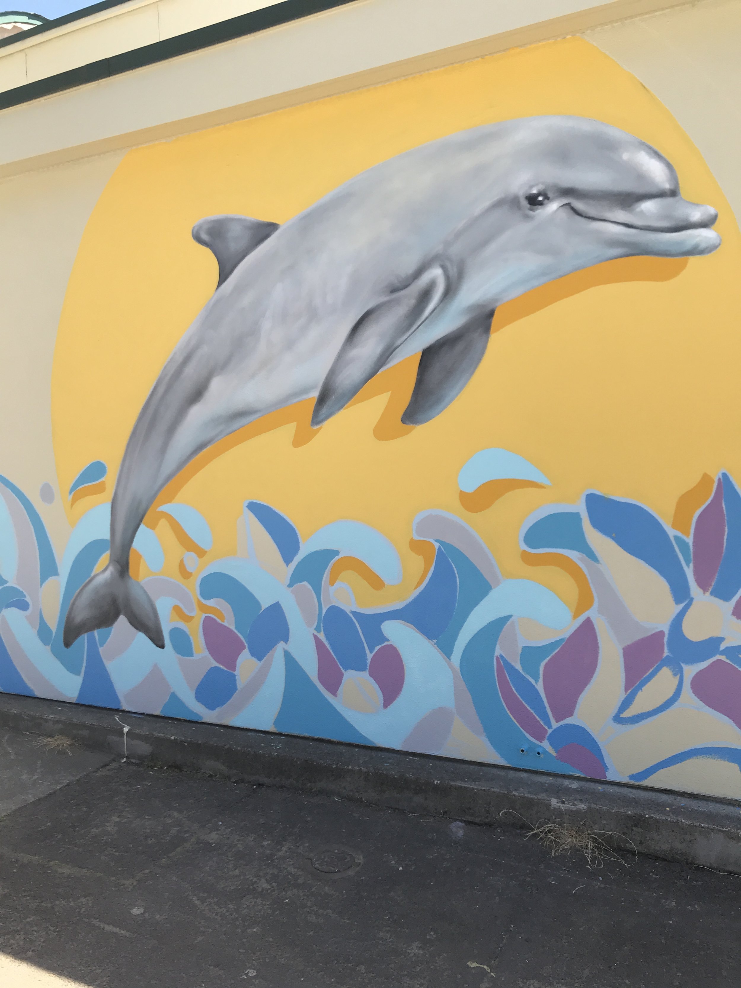 Detail Dolphin Graffiti Nomer 16