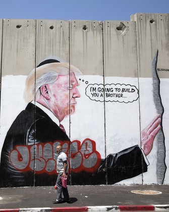 Detail Donald Trump Graffiti Nomer 22