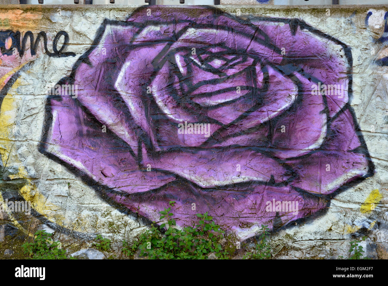 Detail Draw Graffiti Roses Nomer 44