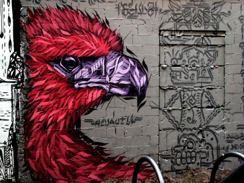 Detail Eagle Graffiti Nomer 49