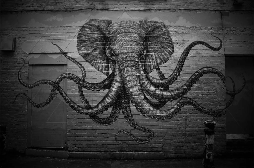 Detail Elephant Octopus Graffiti Nomer 21