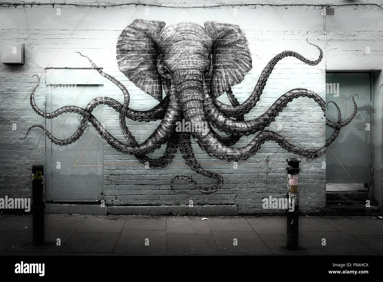 Detail Elephant Octopus Graffiti Nomer 24