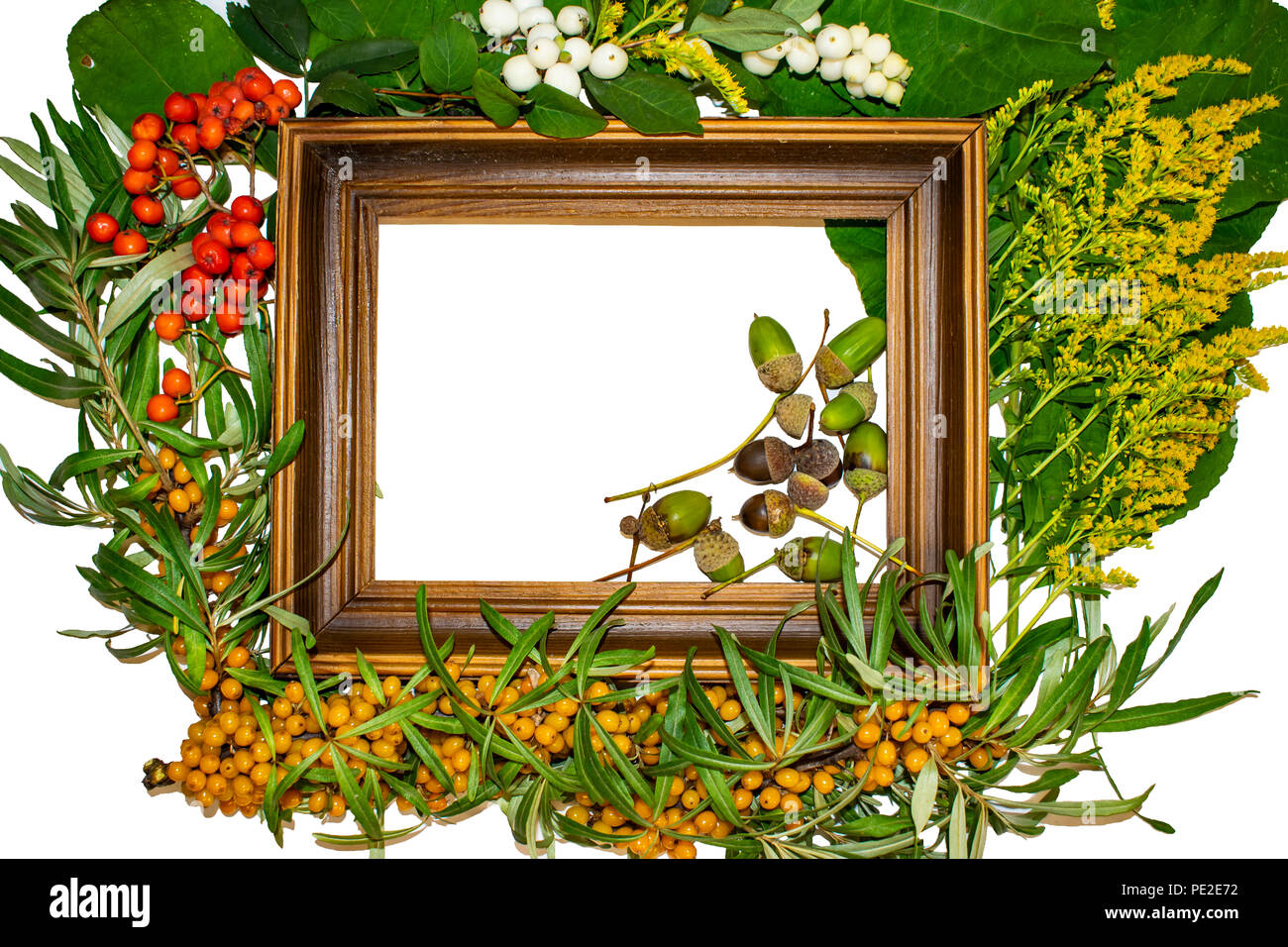 Detail Frame Graffiti Nomer 53