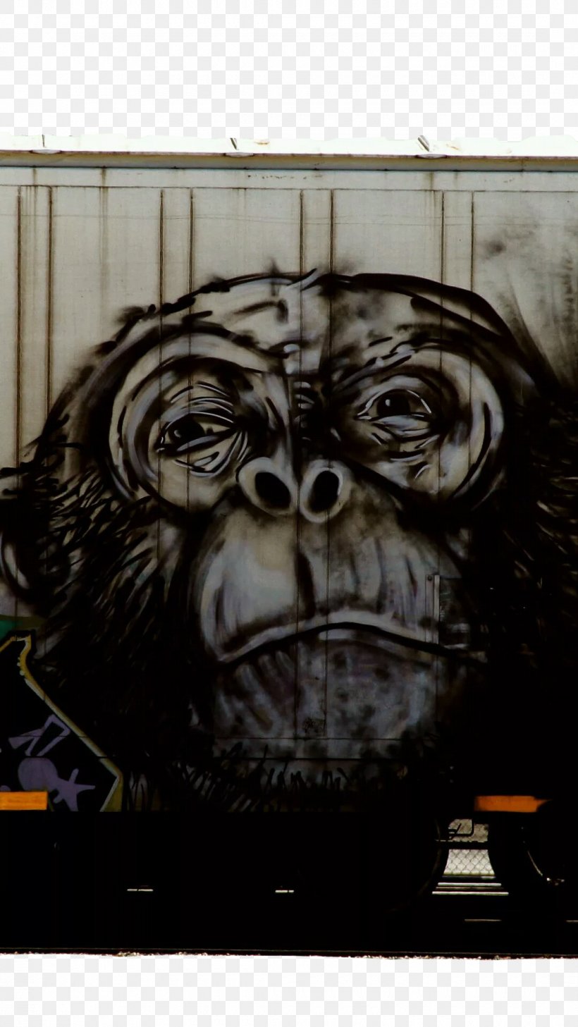 Detail Free Download Monkey Graffiti Nomer 11