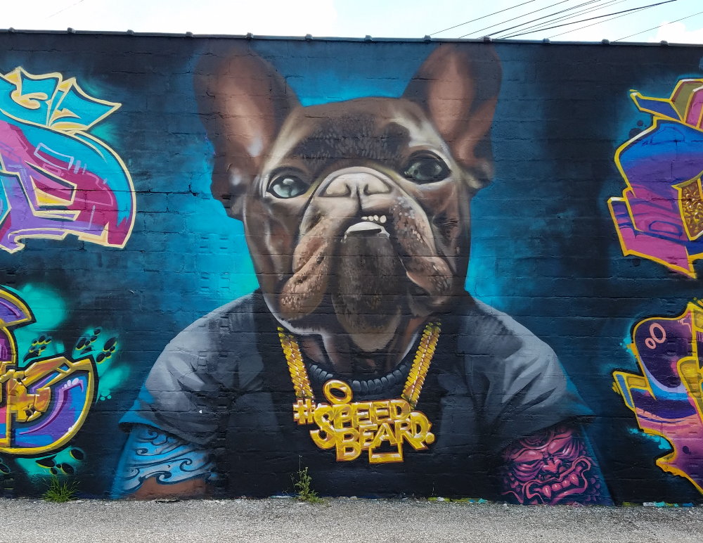 Detail French Bulldog Graffiti Nomer 2