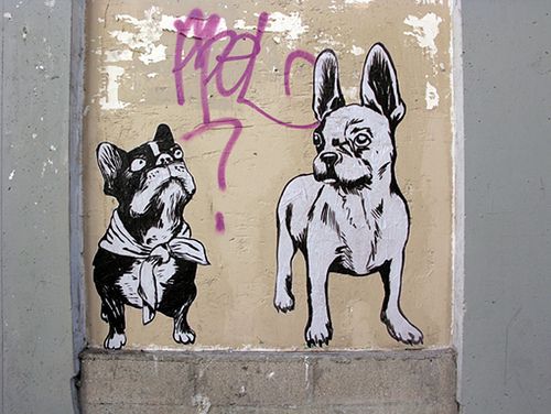 Detail French Bulldog Graffiti Nomer 4