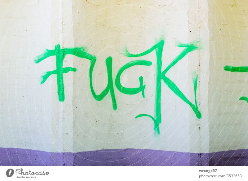 Detail Fuck Graffiti Nomer 15