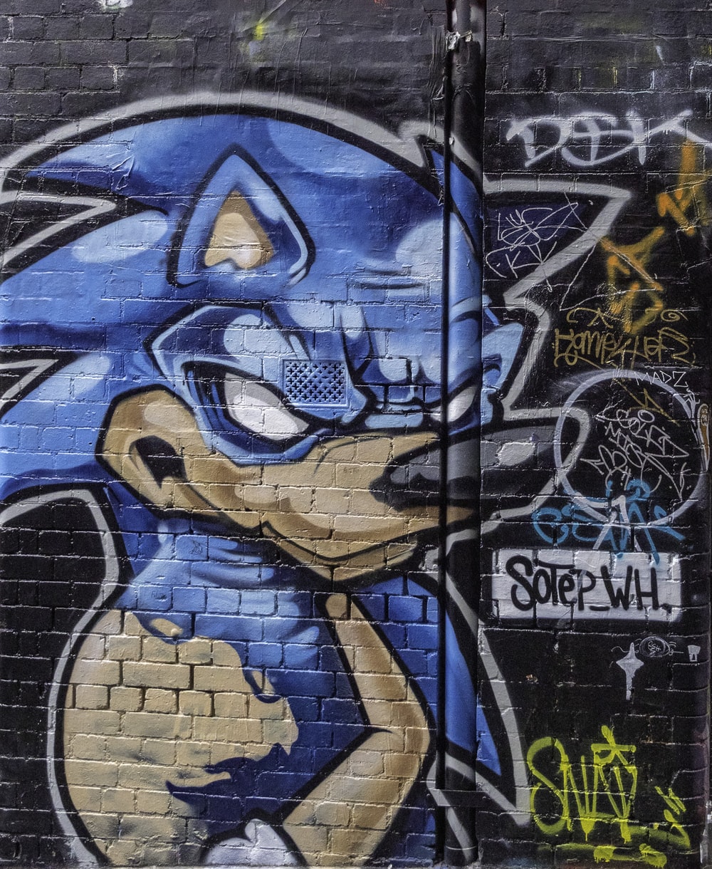 Detail Gambar Sonic Graffiti Nomer 13
