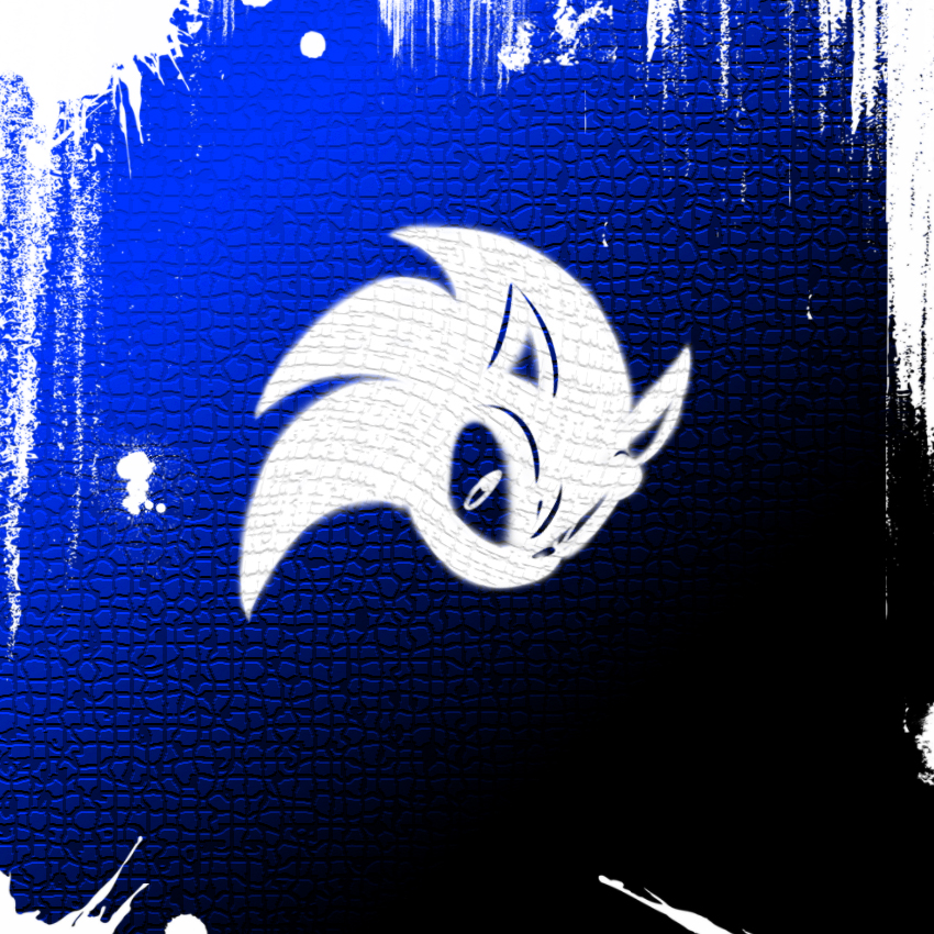 Detail Gambar Sonic Graffiti Nomer 23