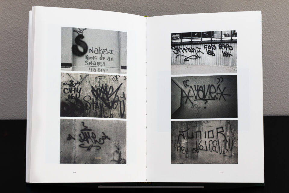 Detail Getting Up Graffiti Book Nomer 32