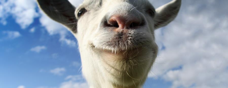 Detail Goat Simulator Graffiti Nomer 47