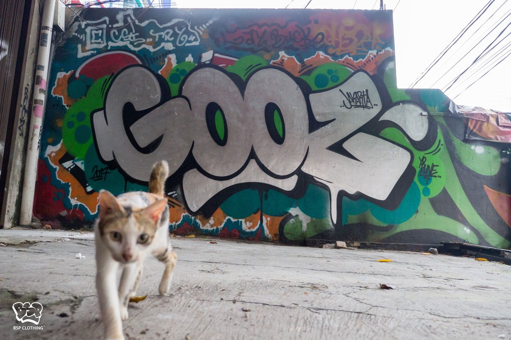 Gooz Graffiti - KibrisPDR