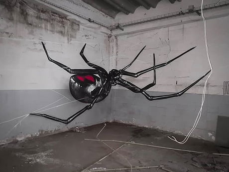 Detail Graffiti 3d Spider Nomer 11