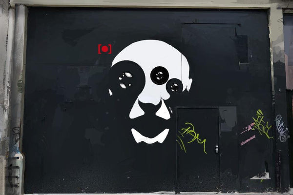 Detail Graffiti Alexandria Peterpan Nomer 10