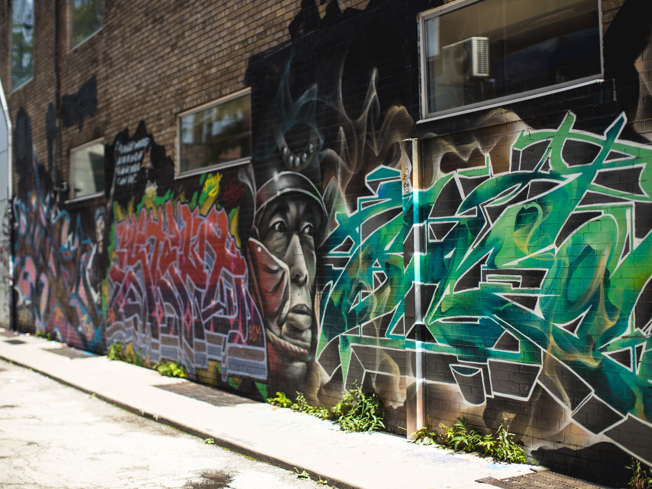 Detail Graffiti Alley Toronto Nomer 14