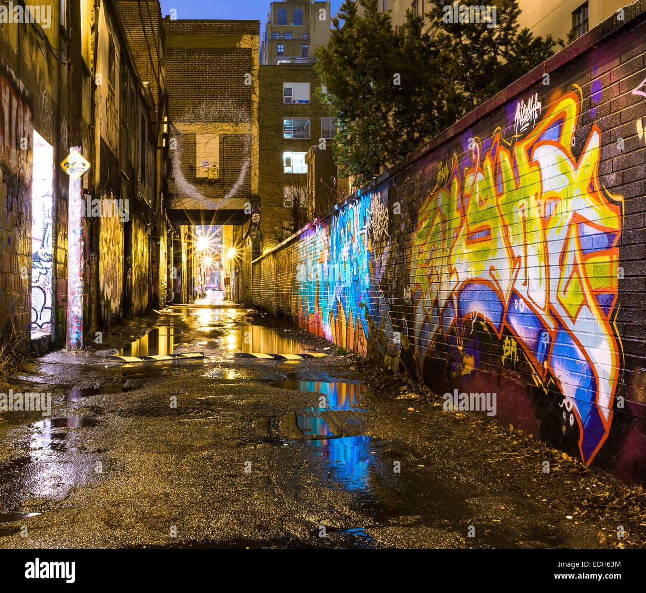 Detail Graffiti Alley Toronto Nomer 47