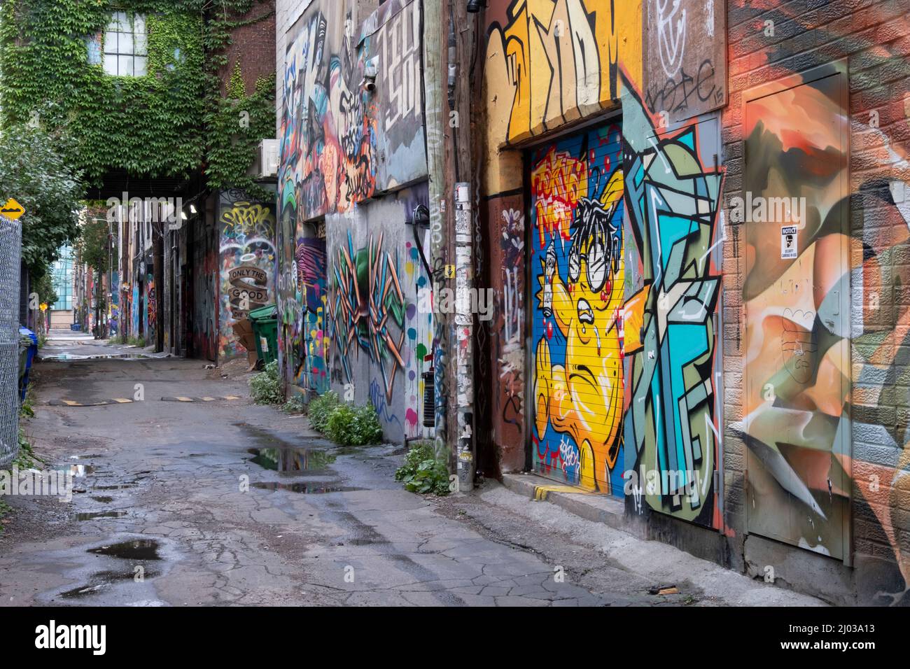 Detail Graffiti Alley Toronto Nomer 49