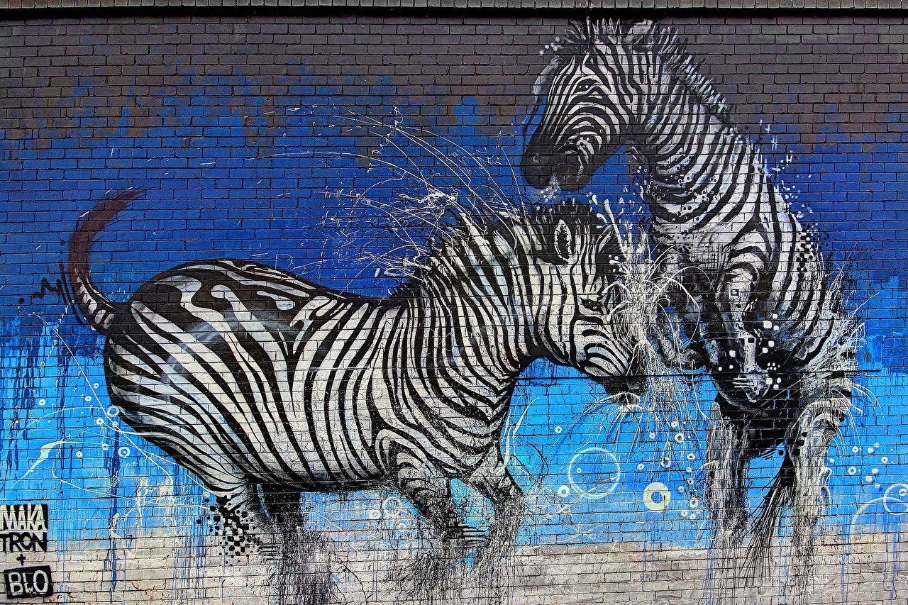 Graffiti Animal Wallpaper - KibrisPDR