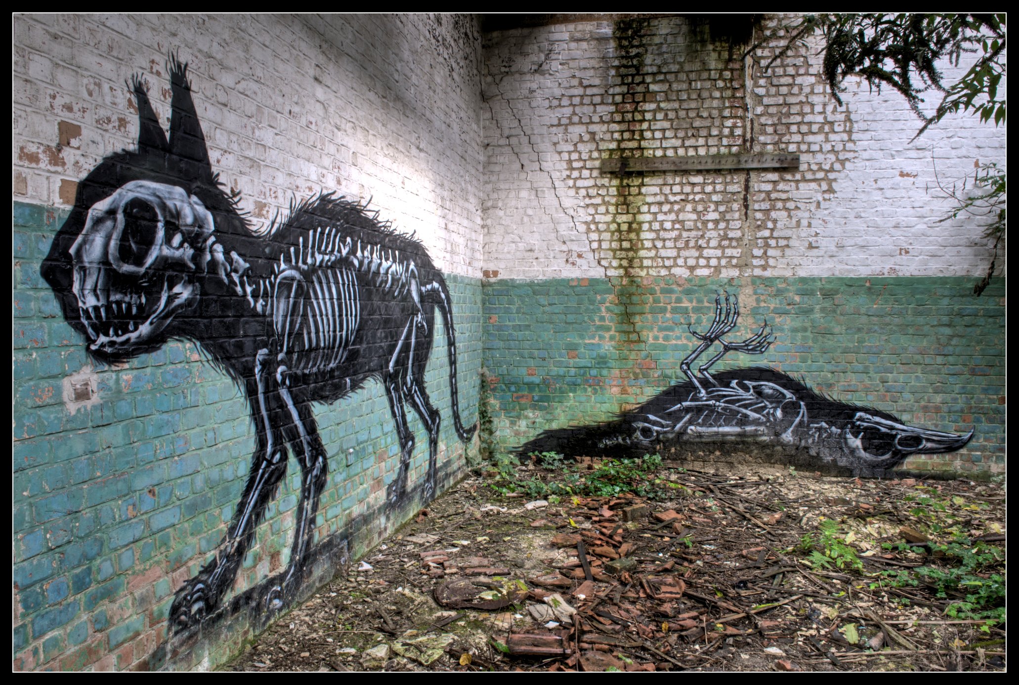 Detail Graffiti Animal Wallpaper Nomer 21