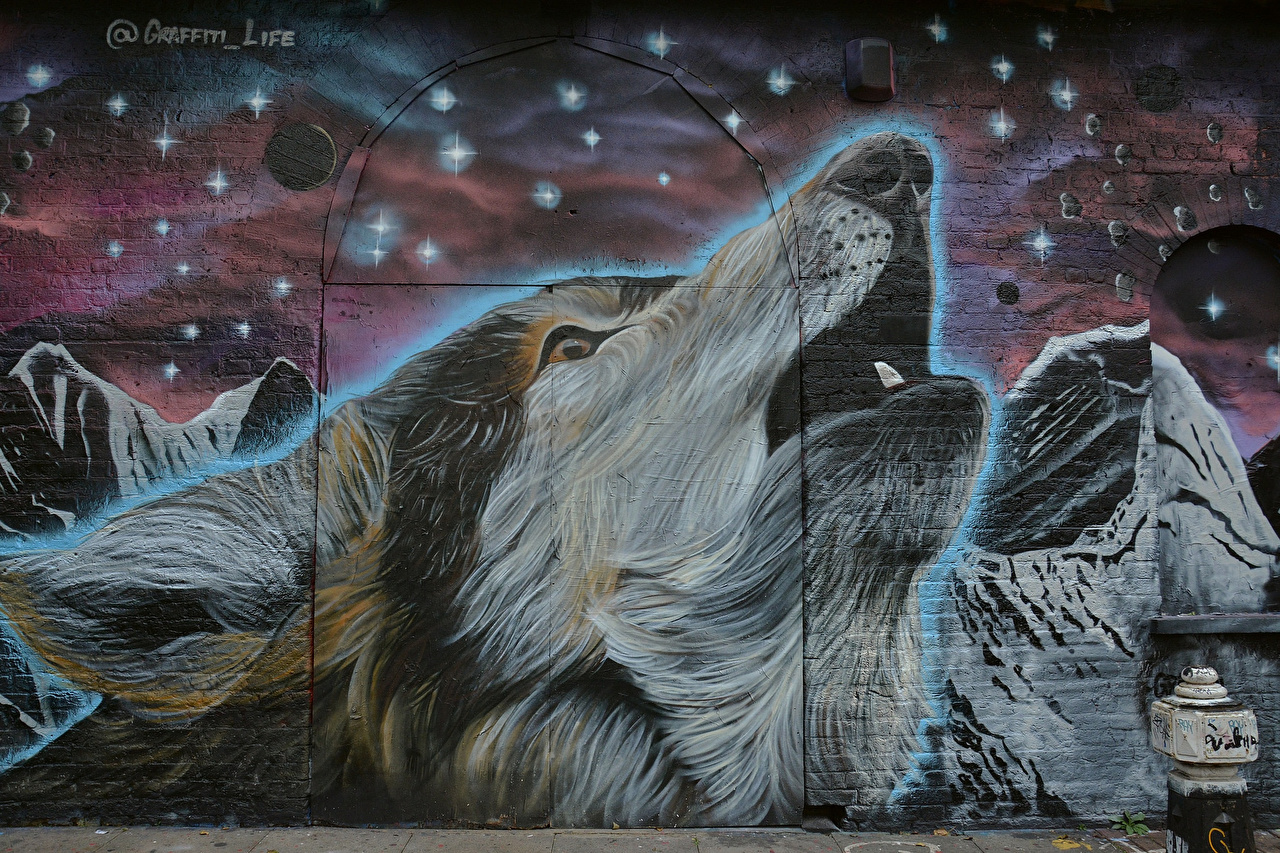 Detail Graffiti Animal Wallpaper Nomer 2
