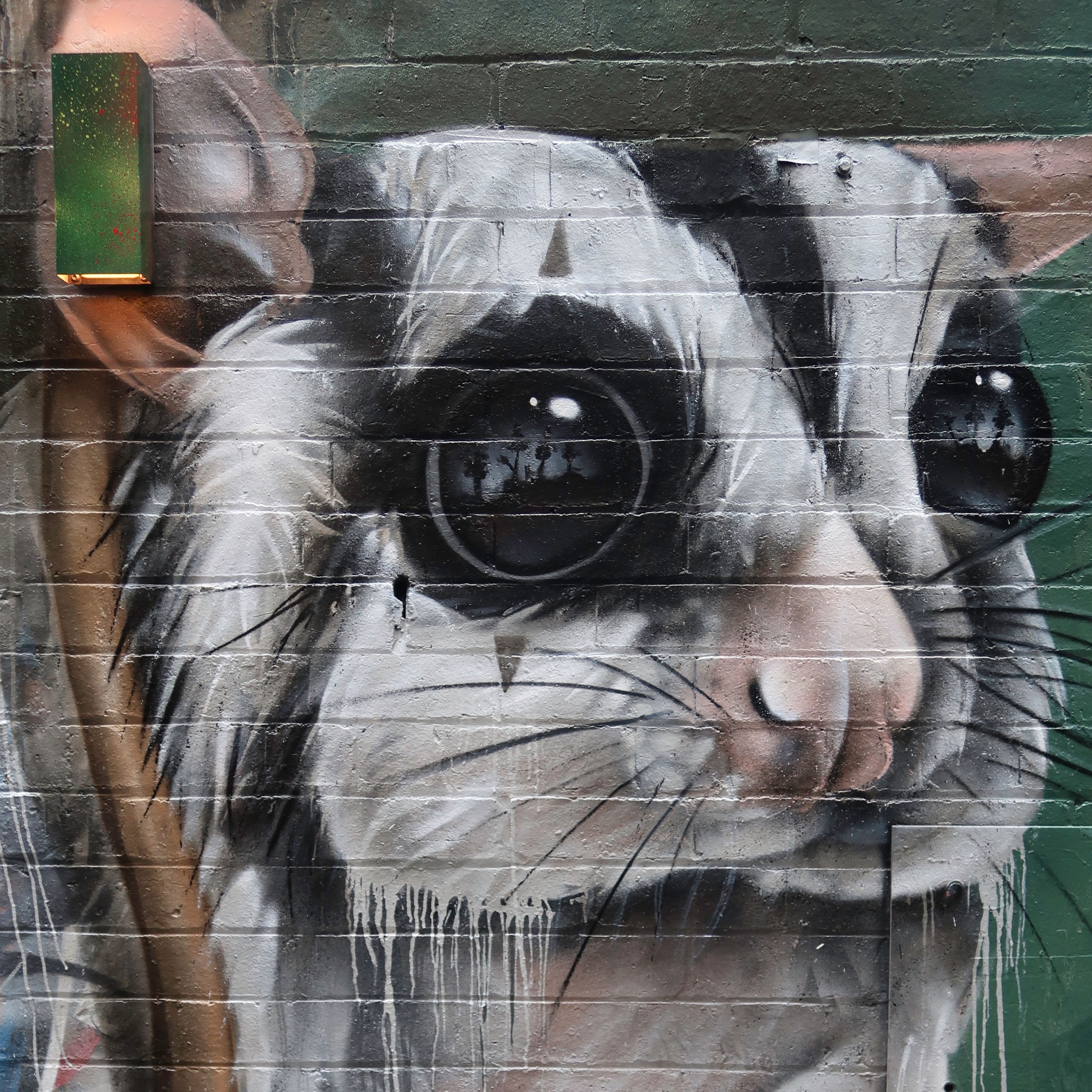 Detail Graffiti Animal Wallpaper Nomer 4