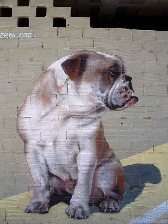 Detail Graffiti Anjing Bulldog Nomer 30