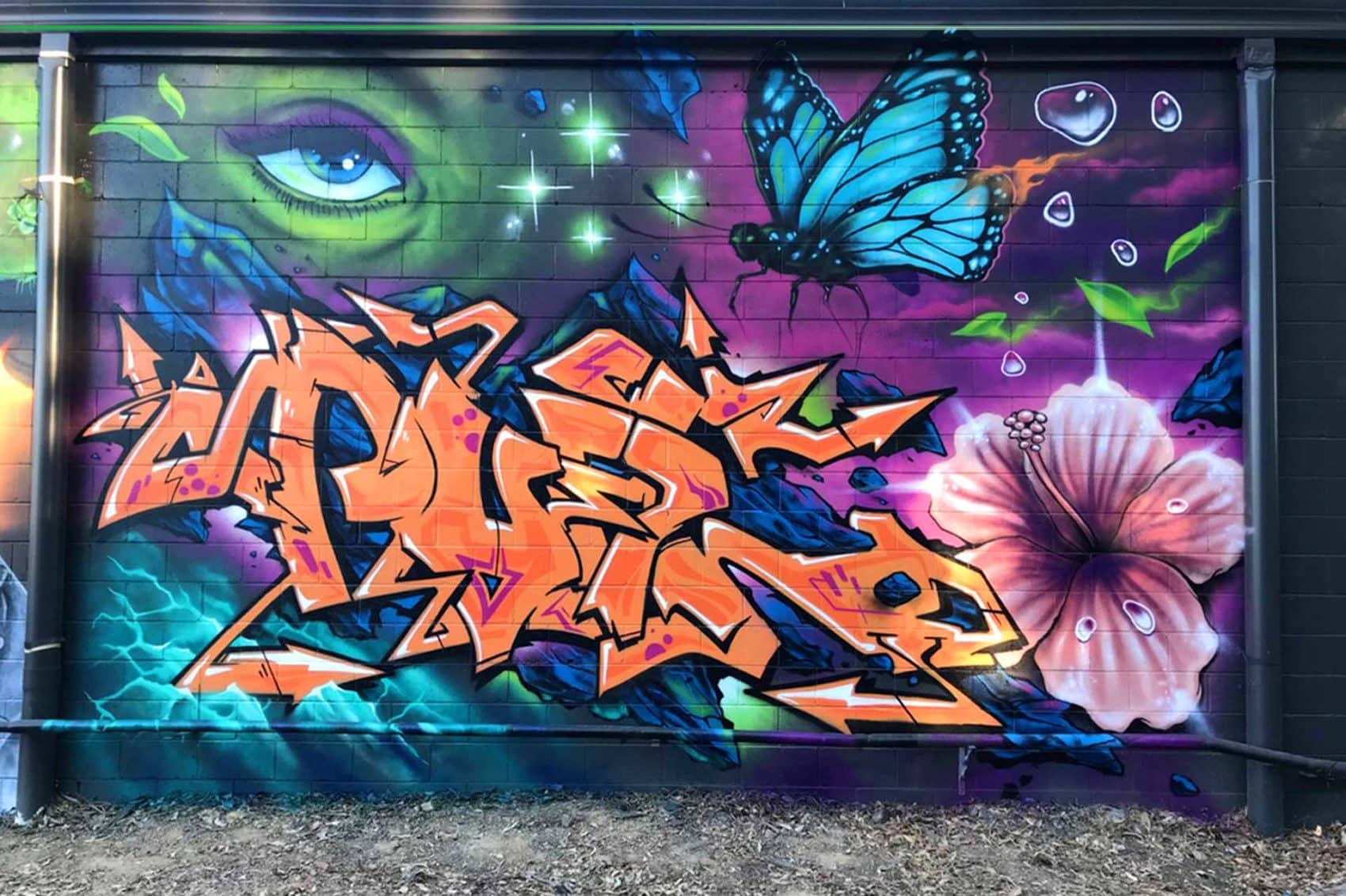 Detail Graffiti Artist Sydney Nomer 11