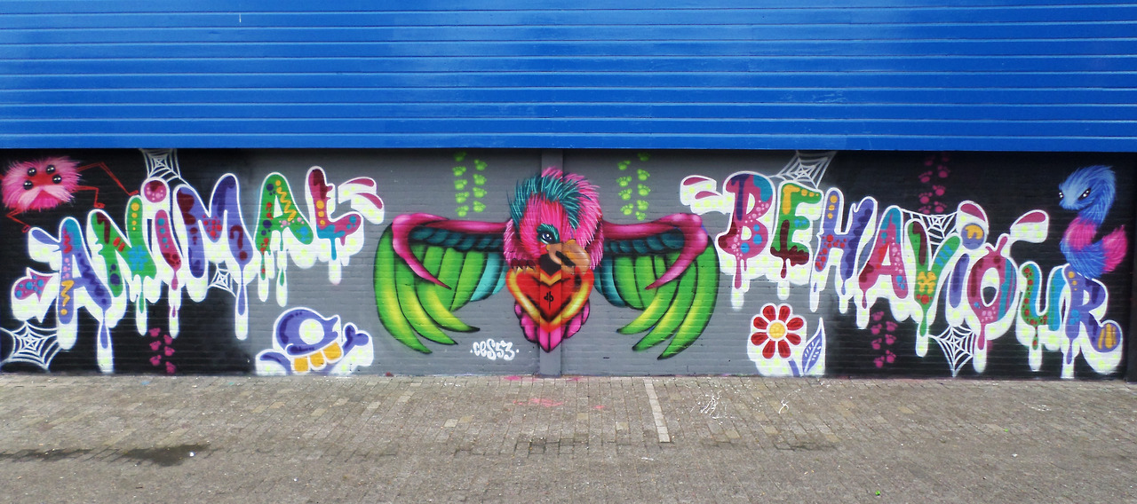 Detail Graffiti Behaviour Nomer 18