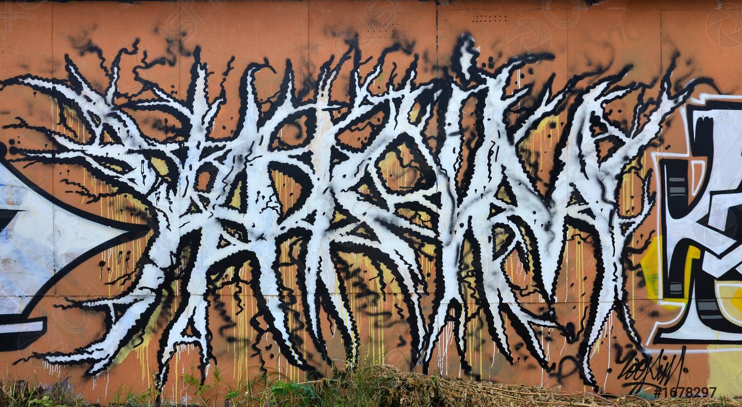 Detail Graffiti Black Metal Nomer 23