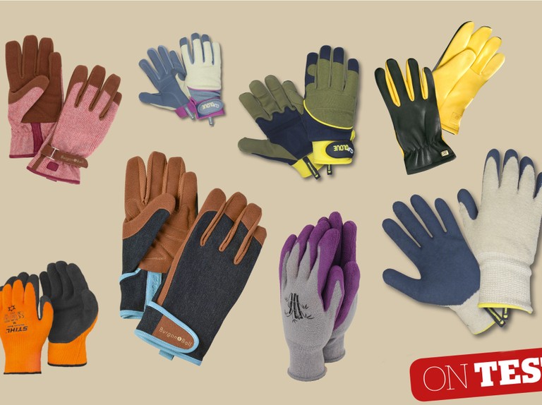 Detail Gloves Images Nomer 26