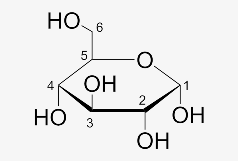 Detail Glucose Png Nomer 20
