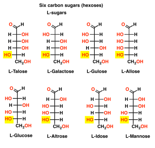 Detail Glucose Png Nomer 47