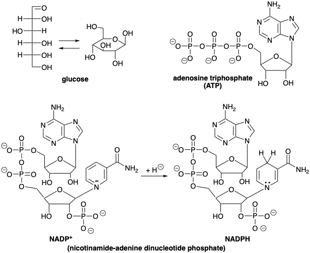 Detail Glucose Png Nomer 50