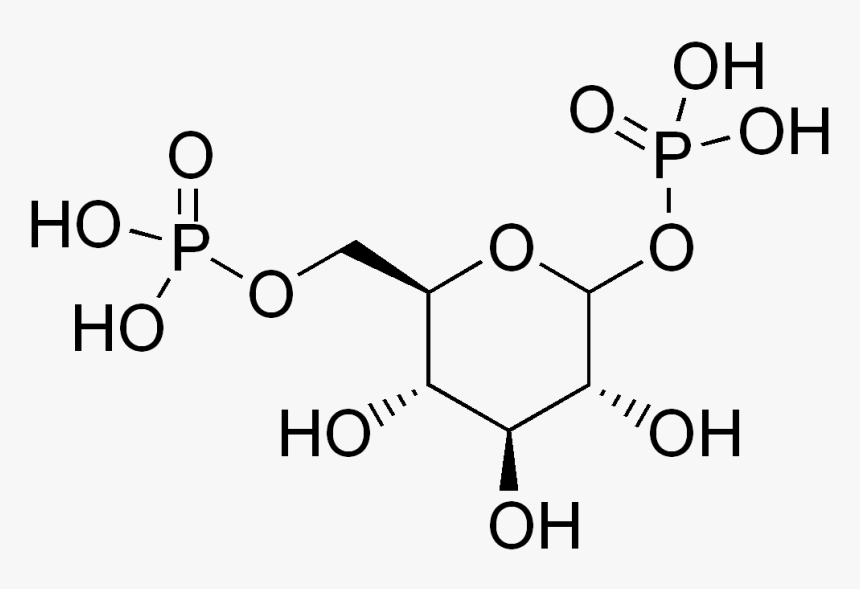 Detail Glucose Png Nomer 10