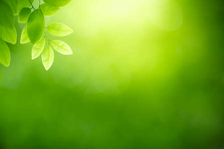 Detail Go Green Background Nomer 23