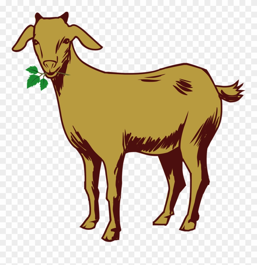 Detail Goat Clipart Nomer 11