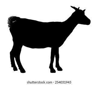 Detail Goat Clipart Silhouette Nomer 16