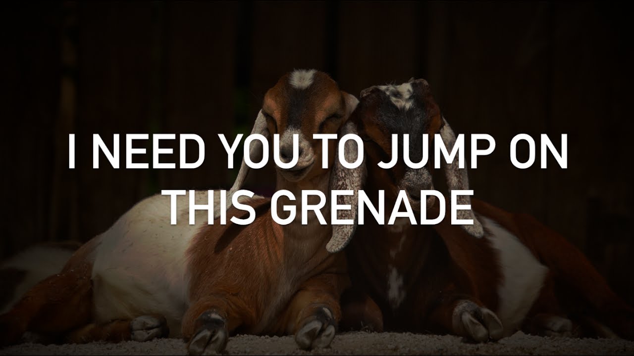 Detail Goat Grenade Lyrics Nomer 7