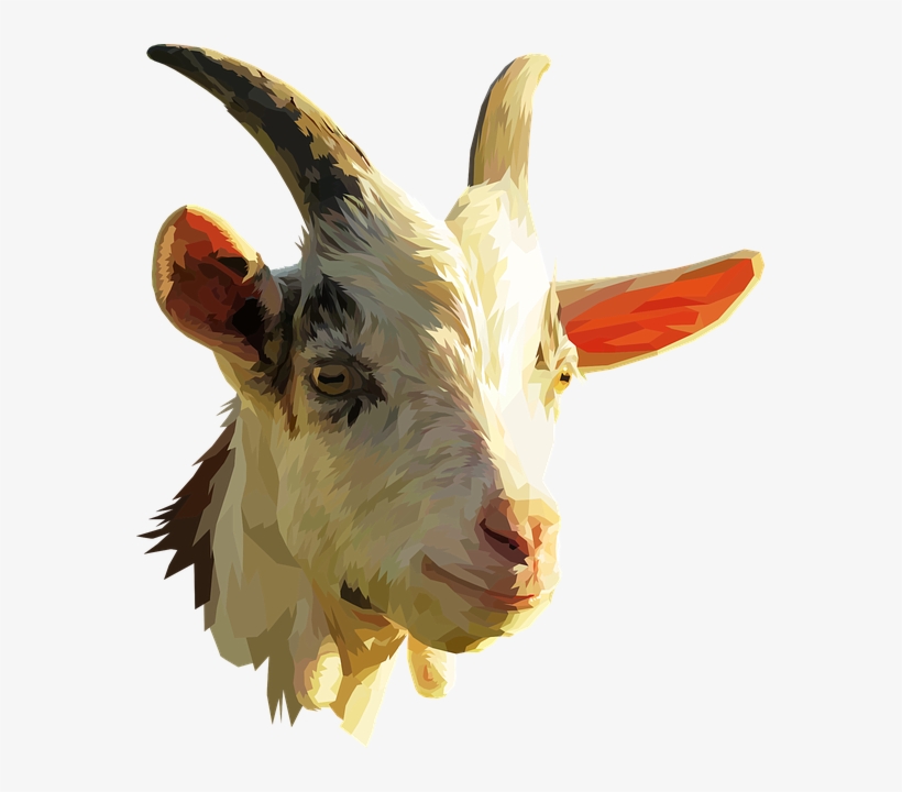 Detail Goat Head Png Nomer 2