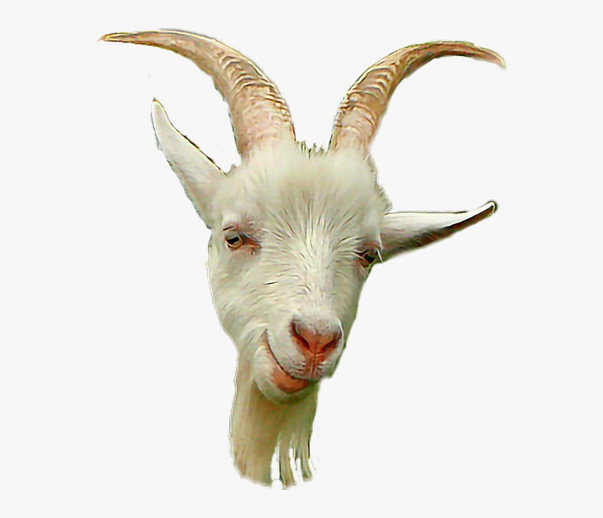 Detail Goat Head Png Nomer 4