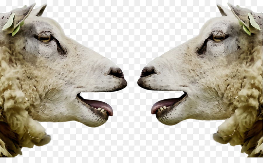 Detail Goat Head Png Nomer 50