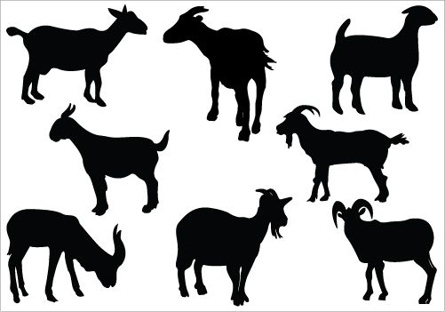 Detail Goat Silhouette Clip Art Nomer 46