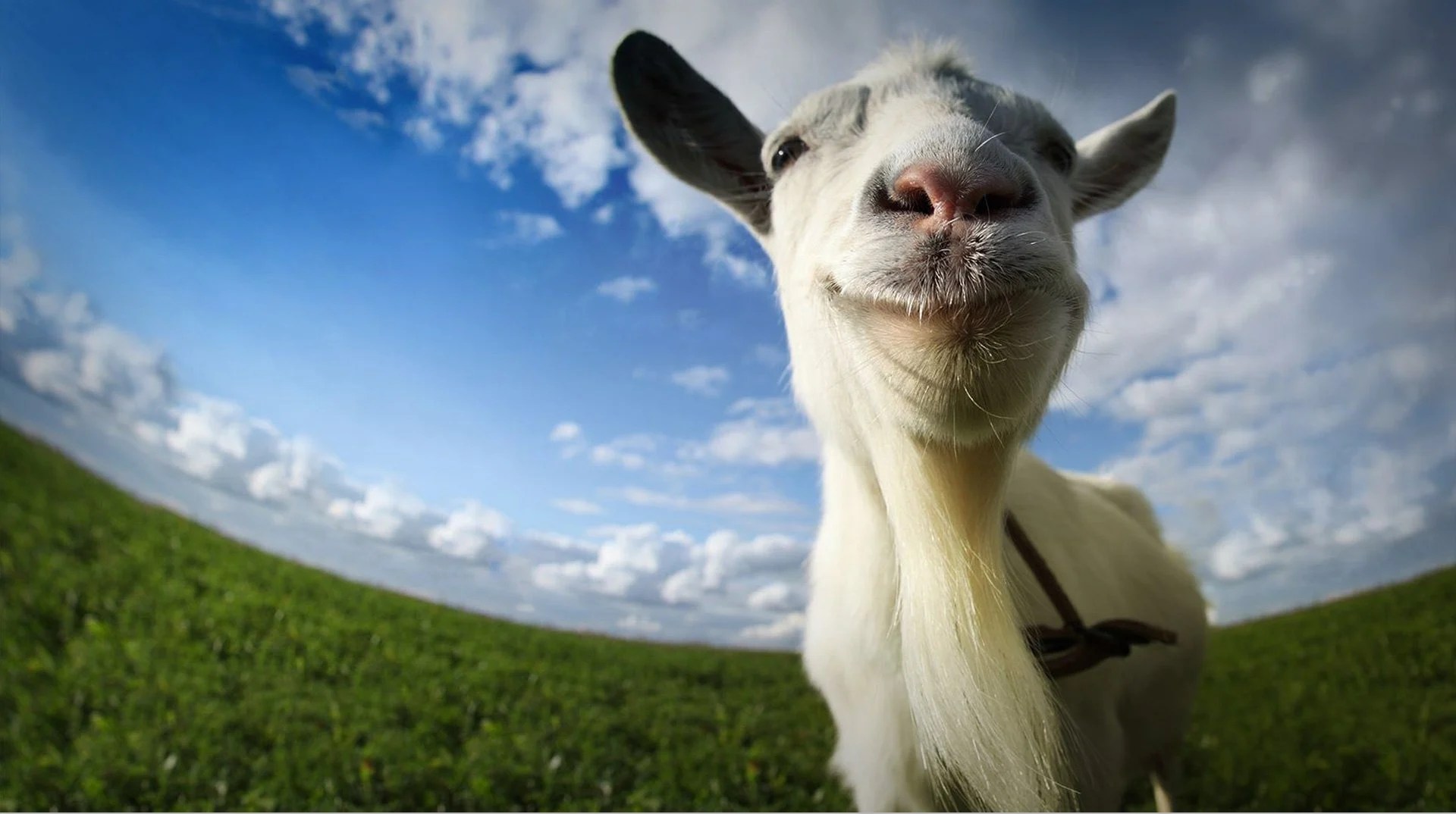 Detail Goat Simulator Z Apk Nomer 18