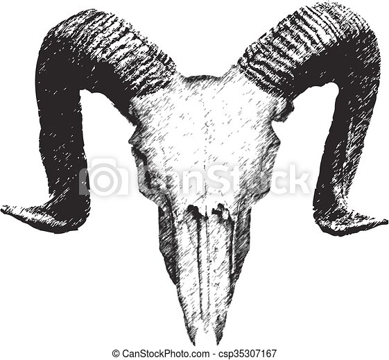 Detail Goat Skull Clipart Nomer 14